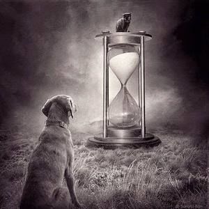 Meet your Posher, Juan